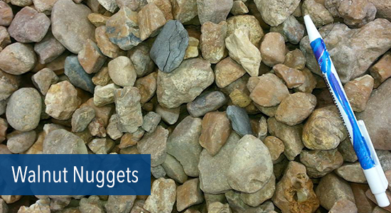 Walnut Nuggets Stone